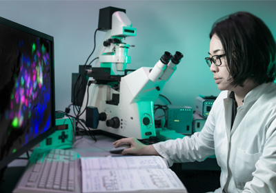 live preview when creating a photo for passport