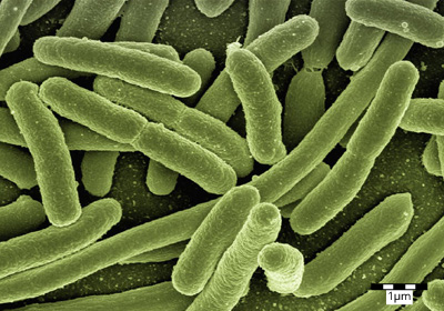 Resize and image enhancing